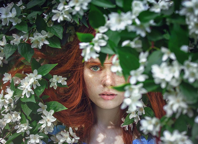 Enchanting Blooms